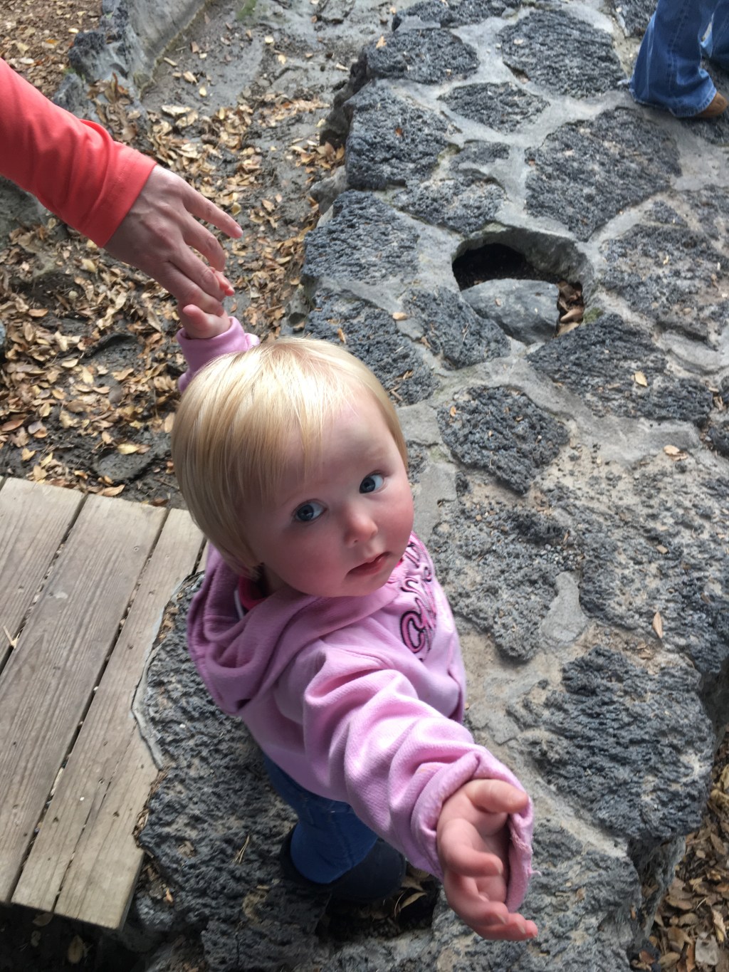 The amazing mental life of&nbsp;babies